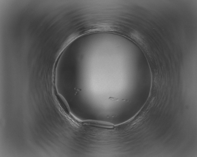 X0000054461378200508011450