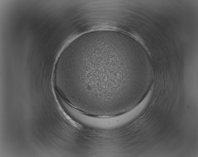 X0000054461379200508011450