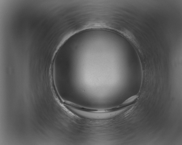 X0000054461382200508011450