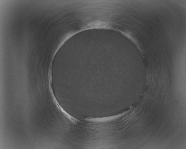 X0000054461383200508011450