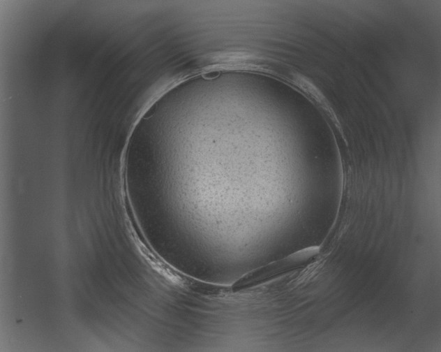 X0000054461386200508011450