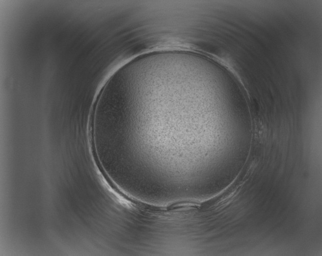 X0000054461387200508011450