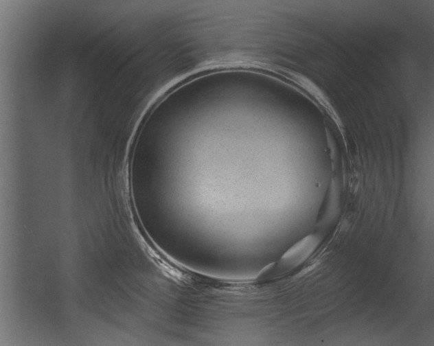 X0000054461388200508011450