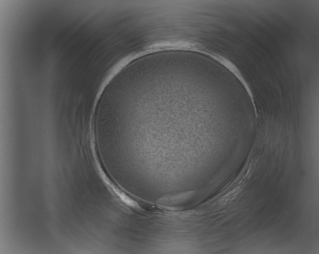 X0000054461389200508011450