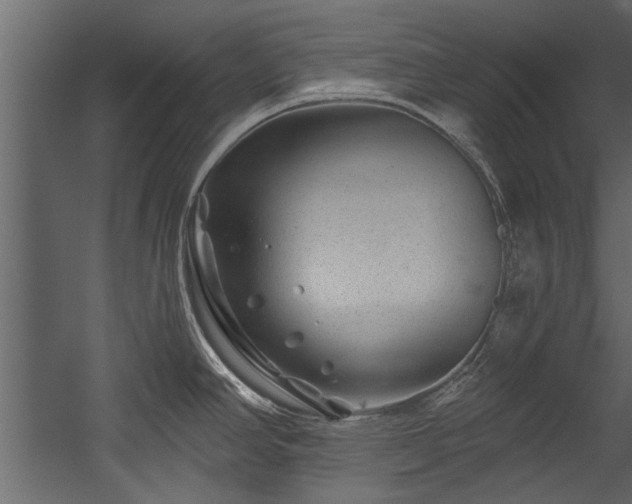 X0000054461390200508011450