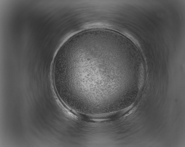 X0000054461392200508011450
