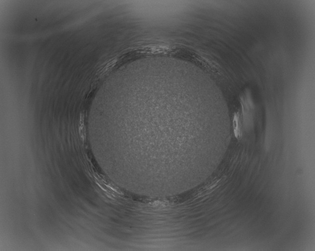 X0000054461395200508011449