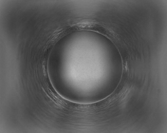 X0000054461396200508011449