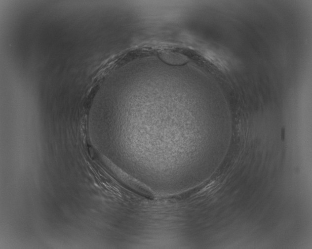 X0000054461397200508011449