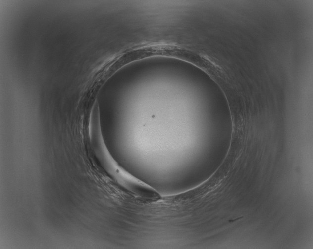 X0000054461398200508011449