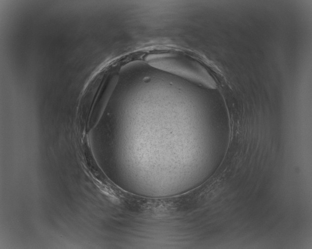 X0000054461400200508011449