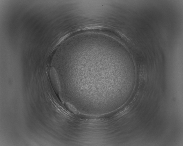 X0000054461401200508011449