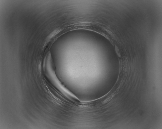 X0000054461402200508011449