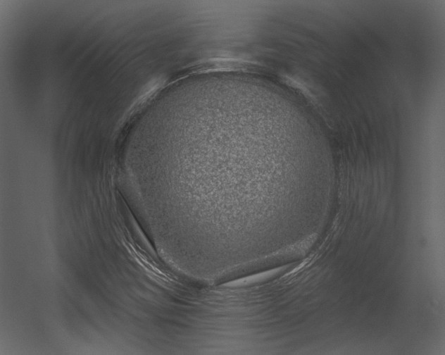 X0000054461403200508011449