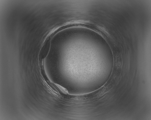 X0000054461404200508011449