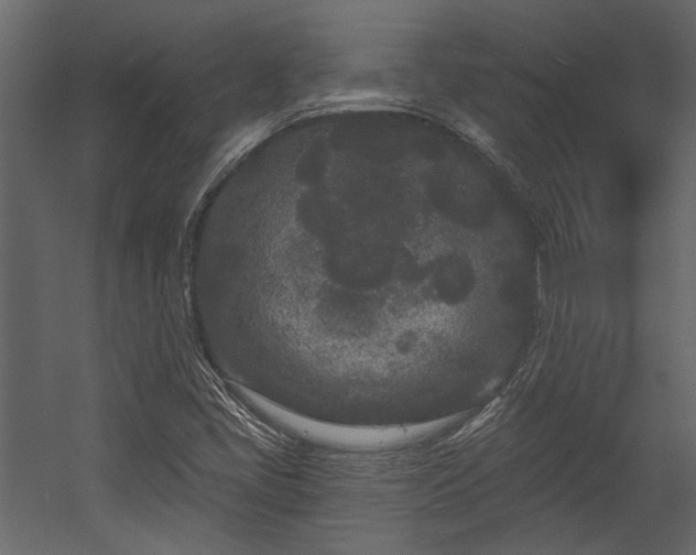 X0000054461405200508011449