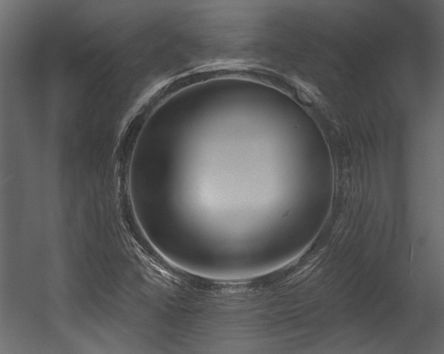 X0000054461406200508011449