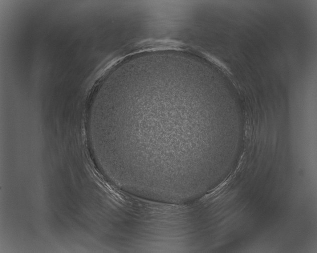 X0000054461407200508011449