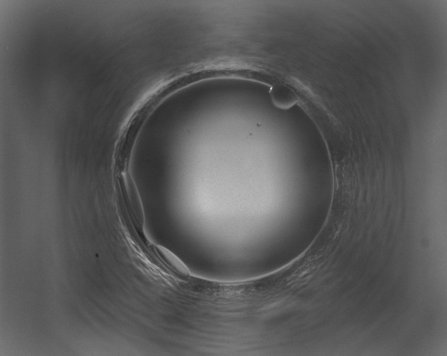 X0000054461408200508011449