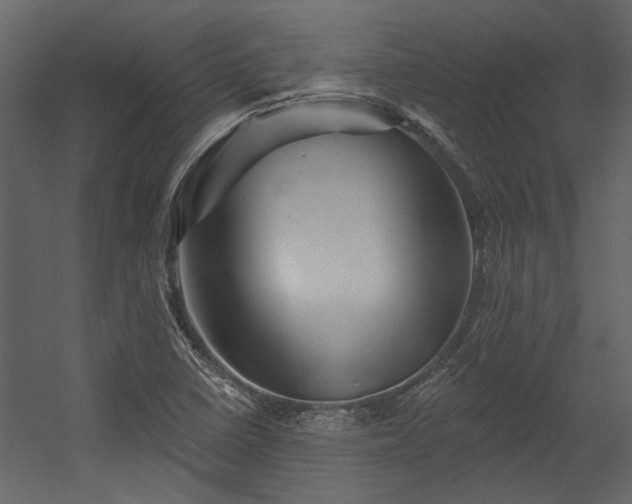 X0000054461410200508011449