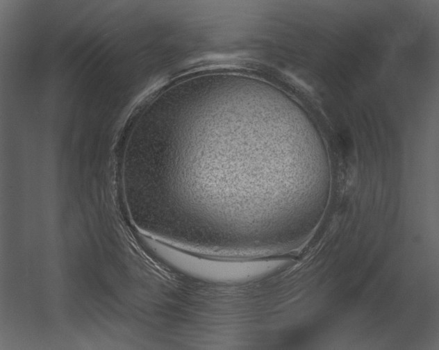 X0000054461411200508011449