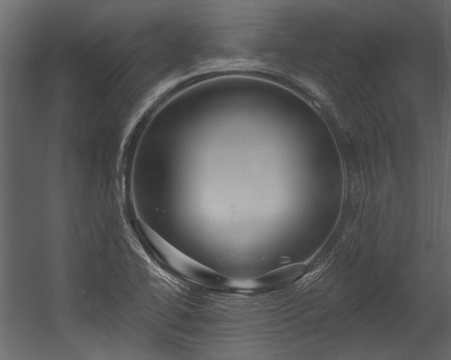 X0000054461414200508011449