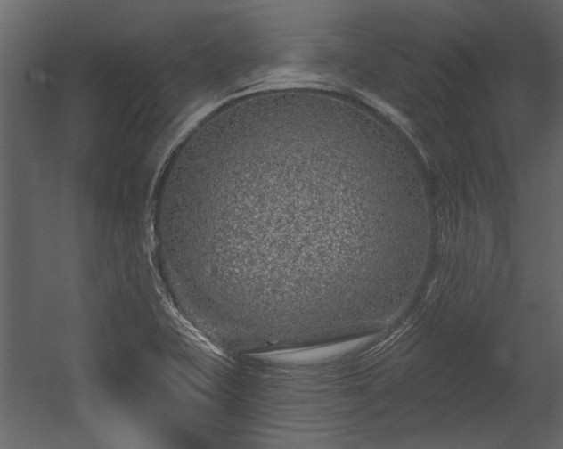 X0000054461415200508011449