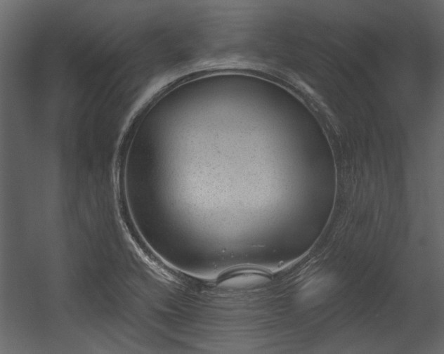 X0000054461416200508011449