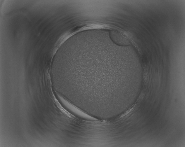 X0000054461417200508011449