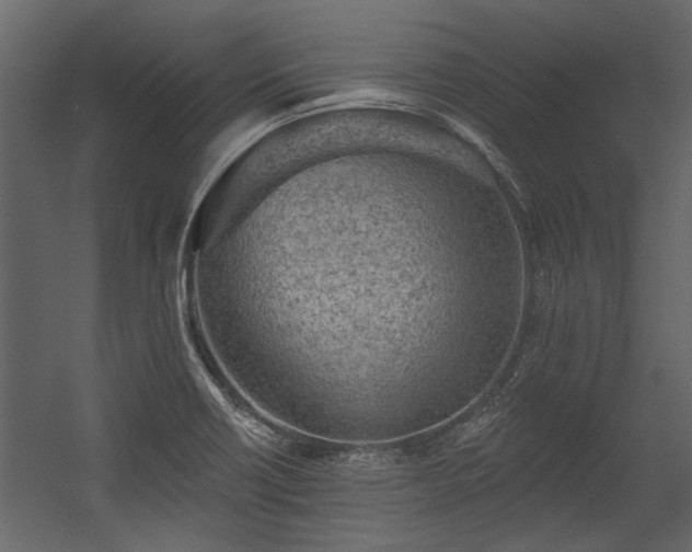 X0000054461418200508011449