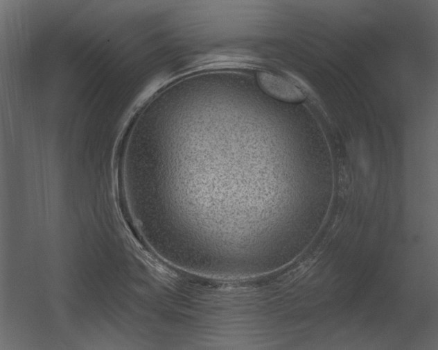 X0000054461419200508011449