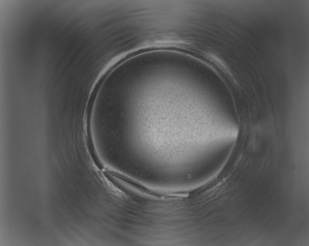 X0000054461420200508011449