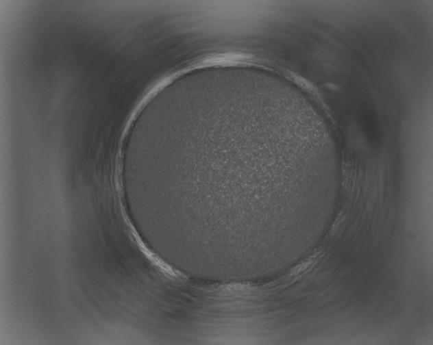 X0000054461421200508011449