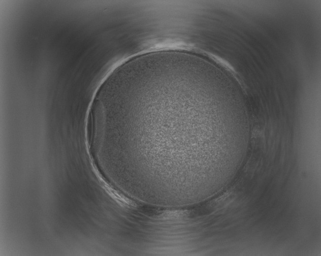 X0000054461423200508011449