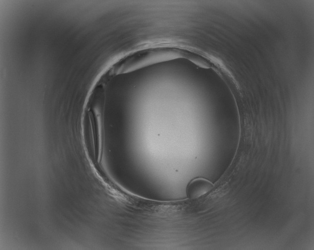 X0000054461424200508011450