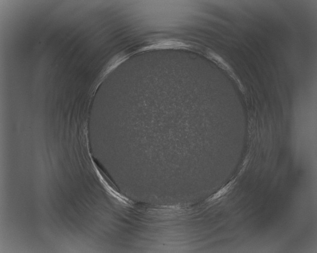 X0000054461425200508011450