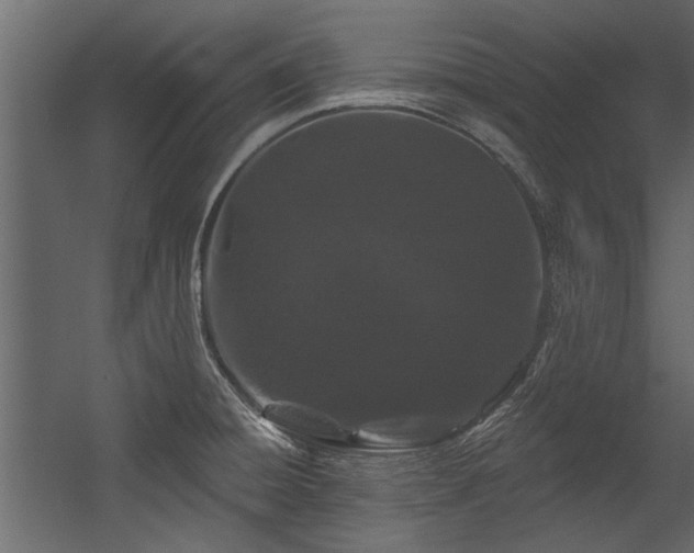 X0000054461428200508011450