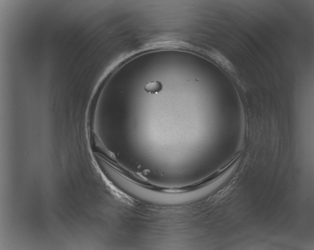 X0000054461430200508011450