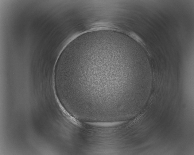 X0000054461431200508011450