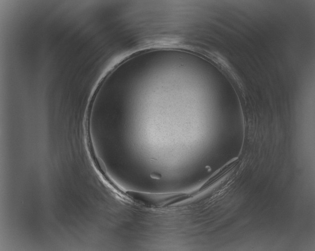 X0000054461432200508011450