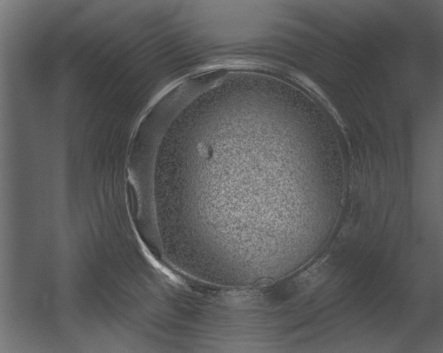 X0000054461433200508011450