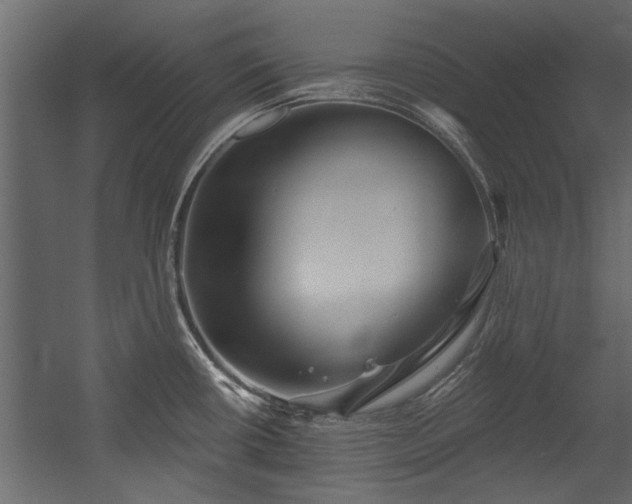 X0000054461434200508011450