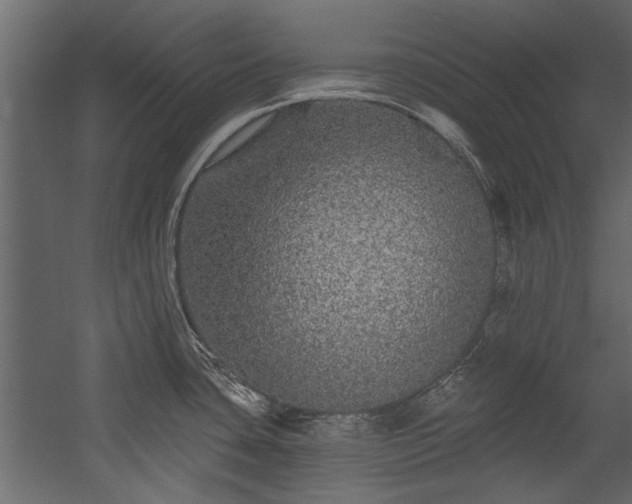 X0000054461435200508011450