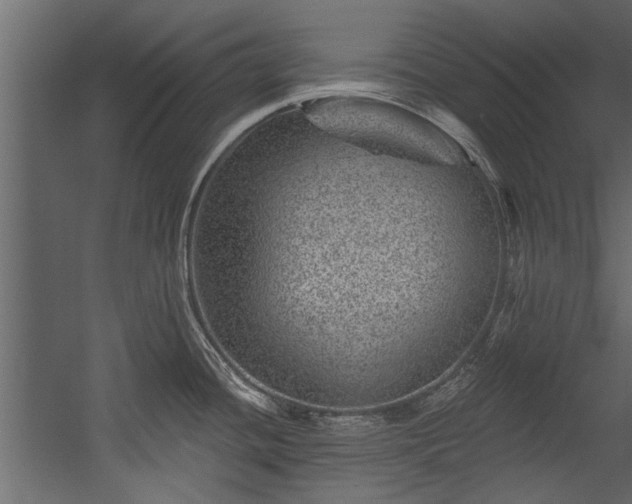 X0000054461436200508011450