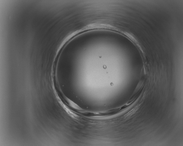 X0000054461438200508011450