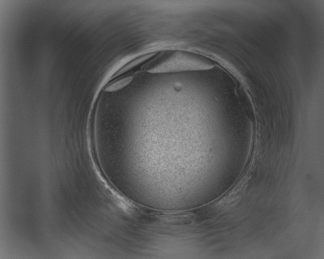 X0000054461440200508011450