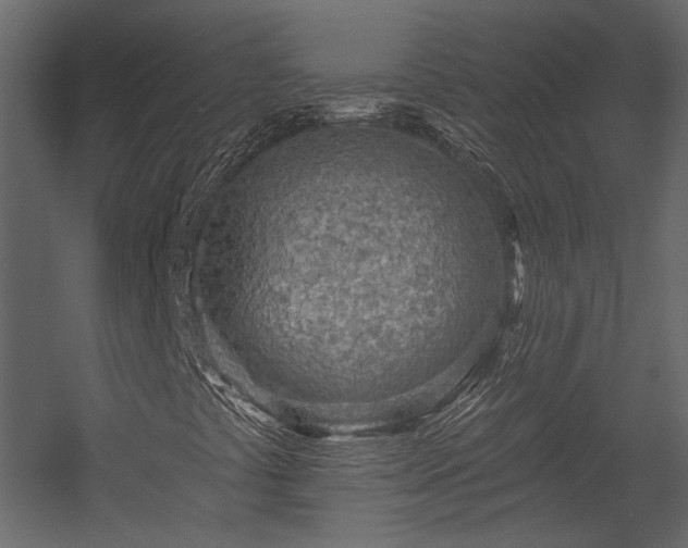 X0000054461441200508011449