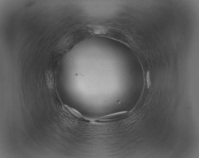 X0000054461443200508011449