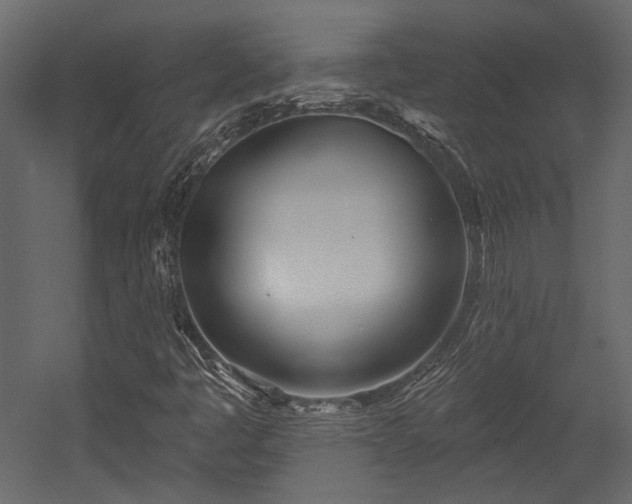 X0000054461445200508011449