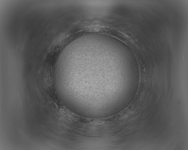 X0000054461446200508011449